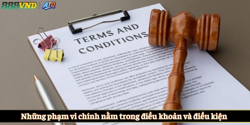 Những phạm vi chính nằm trong điều khoản và điều kiện