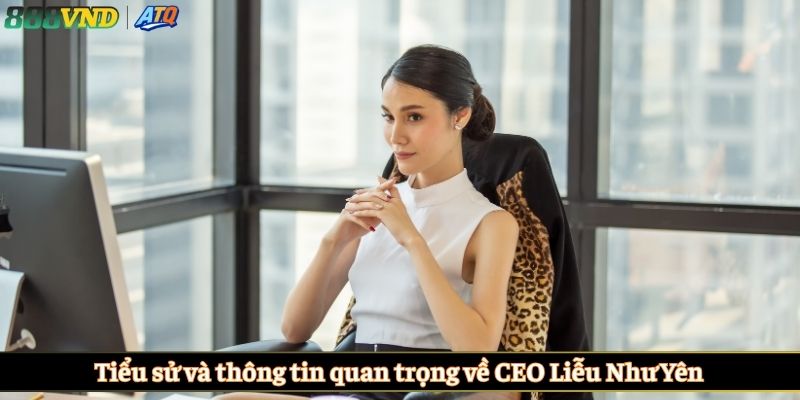 Tiểu sử và thông tin quan trọng về CEO Liễu Như Yên