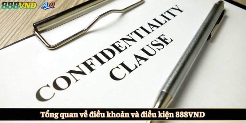 Tổng quan về điều khoản và điều kiện 888VND